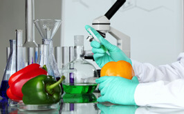 Food Testing Lab In New Hampshire
